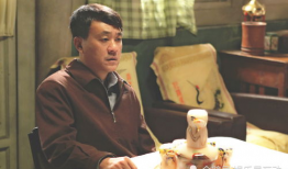 何冰主演的电视剧大全,演技派实力派，经典作品盘点