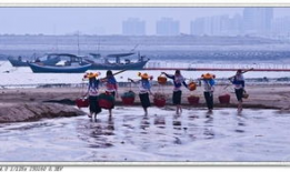 惠安女电视剧,海丝之畔的传奇人生