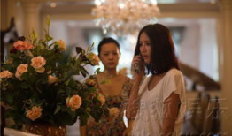 张歆艺主演的电视剧,情感纠葛与成长蜕变