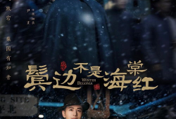 鬓边不是海棠红电视剧,民国风华下的爱恨情仇