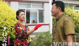 乡村爱情进行曲电视剧,笑谈农家乐，共谱乡村情