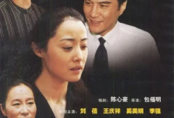 红色康乃馨电视剧,烽火岁月里的家国情怀