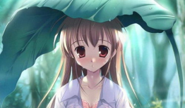 肉嫁高柳动漫,一场跨越次元的甜蜜邂逅