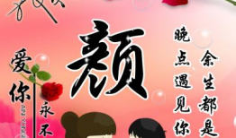 动漫姓氏,探寻动漫家族的荣耀与传承