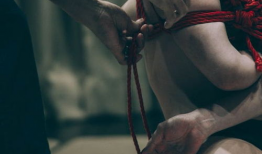 bdsm动漫,动漫世界中的权力与束缚之美