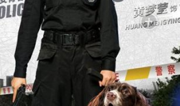 警花与警犬电视剧全集,热血追踪，正义同行