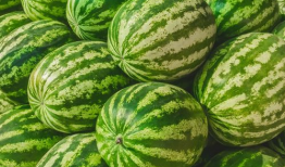 吃瓜爆料素材哪里找,吃瓜爆料素材的搜集秘籍