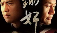 锄奸电视剧,暗战风云，正义之光