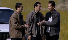 电视剧国家干部,权谋与担当的官场风云