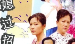 婆媳过招七十回 电视剧,家庭纷争的智慧较量