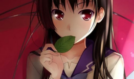 女主是黑长直的动漫,青春校园的浪漫旋律