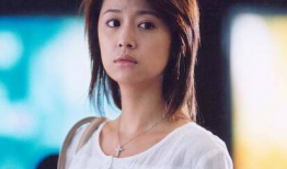 林心如电视剧男才女貌,林心如演绎现代都市爱情传奇