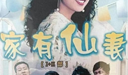 家有仙妻电视剧,穿越时空的奇幻爱情之旅