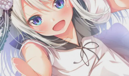 动漫小姐,穿越次元的美妙旅程