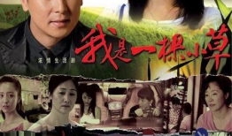 2009电视剧,经典之作回顾
