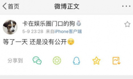 吃瓜爆料小文字怎么写,吃瓜爆料小文字背后的真相与内幕