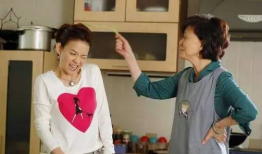 婆媳过招七十回 电视剧,家庭纷争的智慧较量