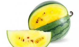 吃瓜爆料素材哪里找,吃瓜爆料素材的搜集秘籍