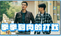 打架的电视剧,街头风云录