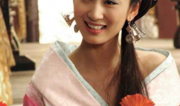 赵飞燕的电视剧,赵飞燕的倾世舞影