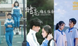 振华三部曲电视剧,青春岁月里的奋斗与成长